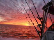 C-Legs Sportfishing, Sunday is Open for Fishing!