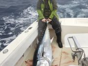 C-Legs Sportfishing, Waiting for the Wind to Break