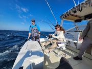C-Legs Sportfishing, Availability for Sunday