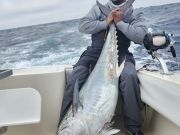 C-Legs Sportfishing, In the Meat!