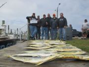 Oregon Inlet Fishing Center, Gaffers Galore!