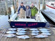 C-Legs Sportfishing, Trips Available This Week