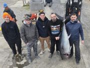 Outer Banks Fishing Charters, Great Fishing