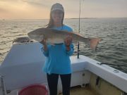 Gecko Sportfishing, Now Booking for Spring Fishing