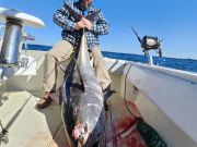 C-Legs Sportfishing, Offshore Trip Available for Friday