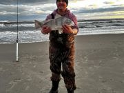 Tradewinds Tackle Shop, Black Drum on Shrimp