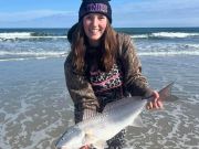 Tradewinds Tackle Shop, Southpoint Drum