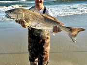 Tradewinds Tackle Shop, A Couple of Beautiful Drum