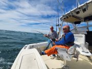 C-Legs Sportfishing, Spots Available This Friday