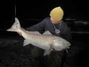 Tradewinds Tackle Shop, Monster Red Drum