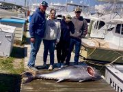 Wanchese Marina, Monster Bluefin