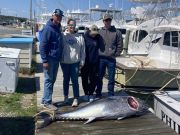 Wanchese Marina, Some Monster Bluefin