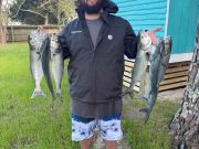 Tradewinds Tackle Shop, Bluefish & Drum