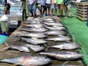 Oregon Inlet Fishing Center, Kicking Off The Summer Season