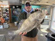 Fishing Unlimited Outer Banks Boat Rentals, Black Drum, Sea Mullet, & Puppy Drum