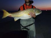 Tradewinds Tackle Shop, Citation Drum & Large Bluefish