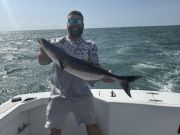 Wanchese Marina, Cobia Fishing is Here!