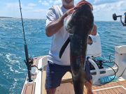 Wanchese Marina, Mackerel, Bluefish, Cobia, and Sheepshead