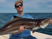 TW’s Bait & Tackle, Action all Over the Beach