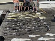 Country Girl Charters, In the Meat