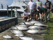 Oregon Inlet Fishing Center, Bothersome Bonnie