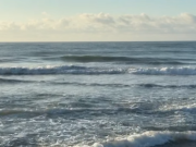 Natural Art Surf Shop, Wednesday, May 20th