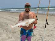 Tradewinds Tackle Shop, Puppy Drum