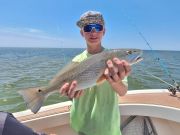 Fishing Unlimited Outer Banks Boat Rentals, Spanish Mackerel, Sheepshead, and BIG Blues!