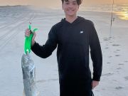 Tradewinds Tackle Shop, Red Drum & Bluefish