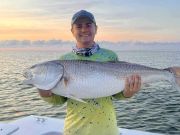 Tradewinds Tackle Shop, Red Drum