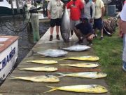 Oregon Inlet Fishing Center, Look at That Big Eye Tuna!!