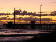 Jennette's Pier, Grab Your Bait