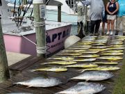 Oregon Inlet Fishing Center, Mahi, Yellowfin, & Marlin!