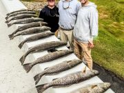 TW’s Bait & Tackle, Pier and Sound Action