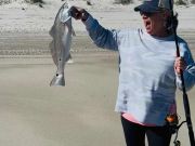 Tradewinds Tackle Shop, Puppy Drum in Ocracoke