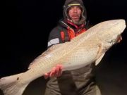 Tradewinds Tackle Shop, Big Red Drum