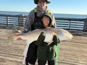 Jennette's Pier, Bog 'Ole Bull