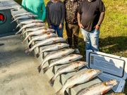 TW’s Bait & Tackle, Great Fall Fishing