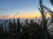 Gecko Sportfishing, And So It Begins