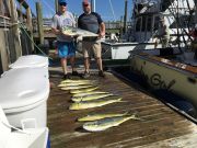 OBX Bait & Tackle Corolla Outer Banks, Corolla Fish Report