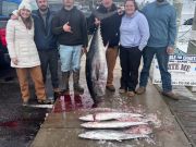 Bite Me Sportfishing Charters, Bluefin Bonanza