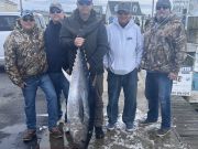 Bite Me Sportfishing Charters, Good Bluefin Fishing