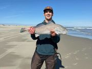 Tradewinds Tackle Shop, Red Drum and Bluefish