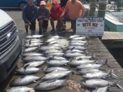 Bite Me Sportfishing Charters, Spring Fishing