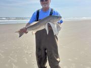 Tradewinds Tackle Shop, Red Drum at Ramp 72