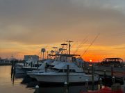 Wanchese Marina, Good Morning from Wanchese