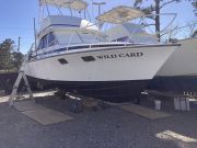 Wild Card Sportfishing Charters, Got the cabin stripes sanded and painted today