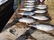 Waverunner Fishing Charters, Dates are Filling Up