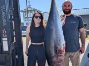 TW’s Bait & Tackle, Stripers, Tuna, Black Drum, Puppy Drum and more!