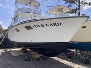 Wild Card Sportfishing Charters, Not quite done yet